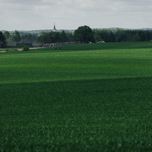 Autor: Timo Müürsepp